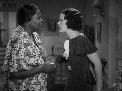 Imitation of Life (The Criterion Collection)