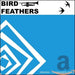 Bird Feathers