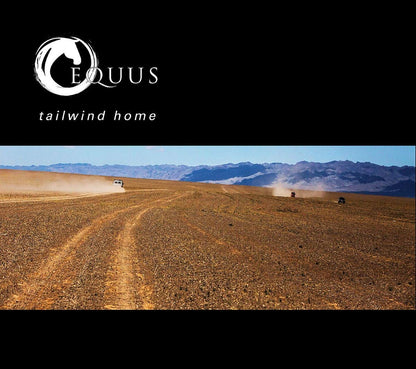 Tailwind Home