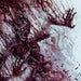 Unidentified Flying Bodyparts