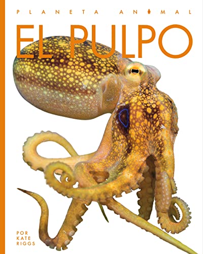 El Pulpo