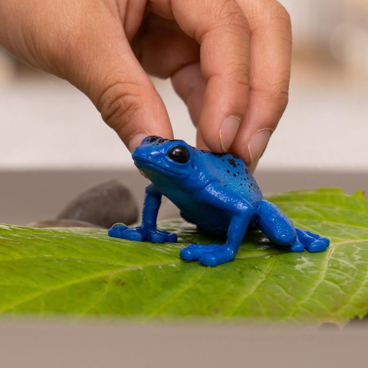 Schleich Wild Life New 2023, Wild Animal Rainforest Jungle Toys for Kids, Poison Dart Frog Toy, Blue, Ages 3+ Blue Poison Dart Frog