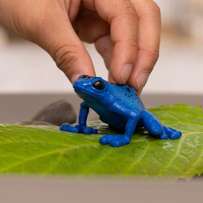 Schleich Wild Life New 2023, Wild Animal Rainforest Jungle Toys for Kids, Poison Dart Frog Toy, Blue, Ages 3+ Blue Poison Dart Frog