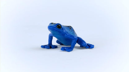 Schleich Wild Life New 2023, Wild Animal Rainforest Jungle Toys for Kids, Poison Dart Frog Toy, Blue, Ages 3+ Blue Poison Dart Frog