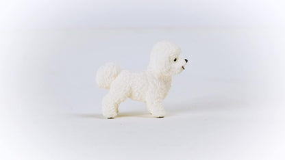 Schleich 13963 Bichon Frisé (Farm World
