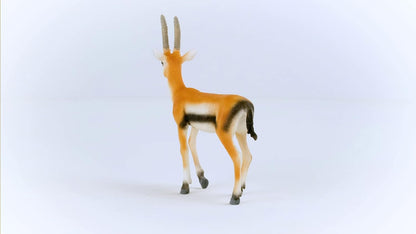 schleich 14861 Gazelle de Thomson, dès 3 ans, WILD LIFE - figurine, 2 x 9 x 10 cm