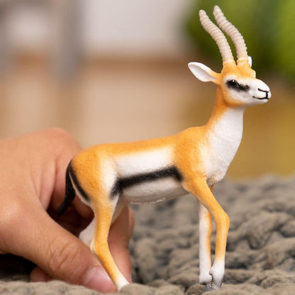 schleich 14861 Gazelle de Thomson, dès 3 ans, WILD LIFE - figurine, 2 x 9 x 10 cm
