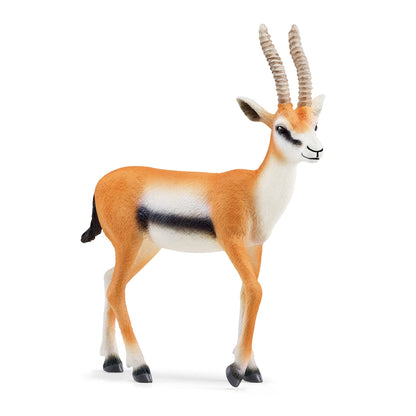 schleich 14861 Gazelle de Thomson, dès 3 ans, WILD LIFE - figurine, 2 x 9 x 10 cm