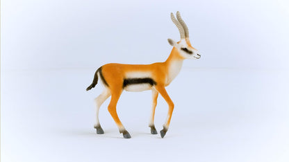 schleich 14861 Gazelle de Thomson, dès 3 ans, WILD LIFE - figurine, 2 x 9 x 10 cm