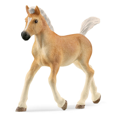 SCHLEICH 13951 Haflinger Foal Horse Club Toy Figurine for children aged 5-12 Years, White.