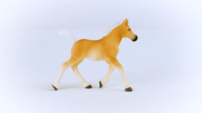 SCHLEICH 13951 Haflinger Foal Horse Club Toy Figurine for children aged 5-12 Years, White.