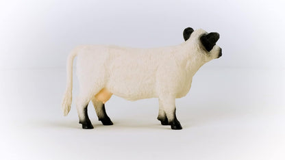 schleich 13960 Galloway Kuh, für Kinder ab 3+ Jahren, FARM WORLD - Spielfigur