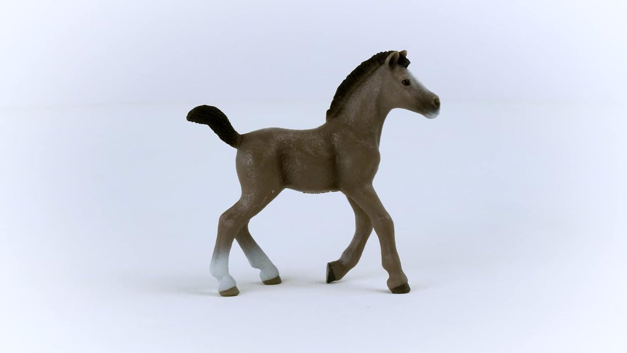 Schleich 13957 Poulain Selle Français (Horse Club