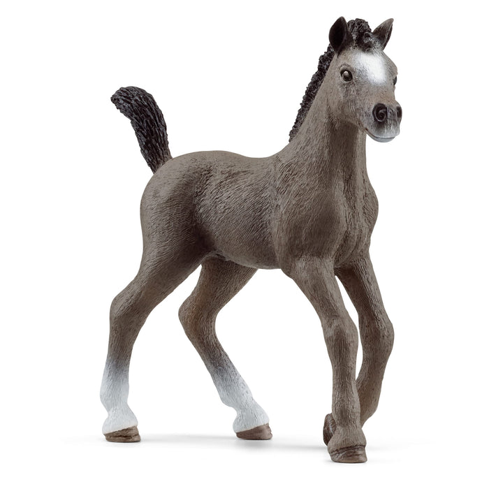 Schleich 13957 Poulain Selle Français (Horse Club