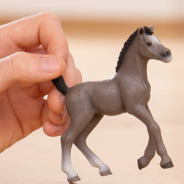 Schleich 13957 Poulain Selle Français (Horse Club
