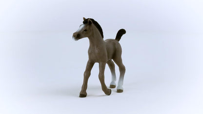 Schleich 13957 Poulain Selle Français (Horse Club