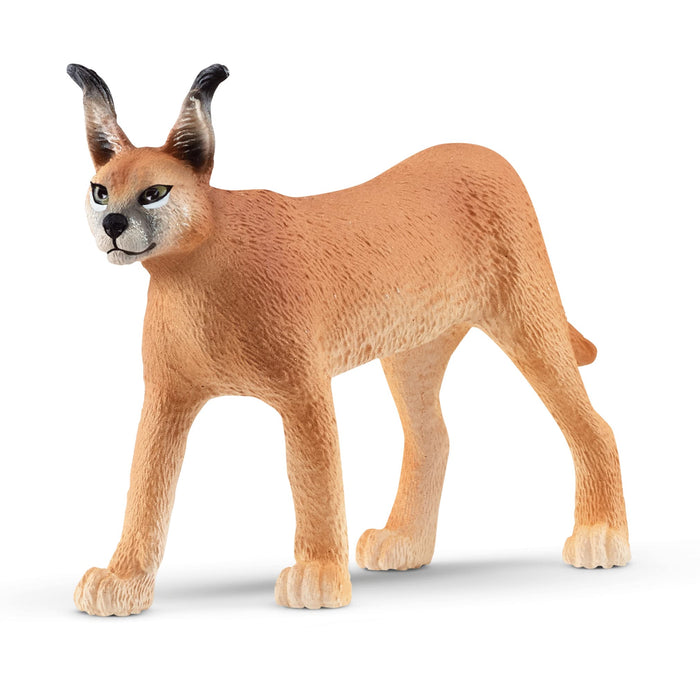 Schleich Wild Life New 2023, Wild Animal Jungle Safari Toys for Kids, Female Caracal Toy Figurine, Ages 3+