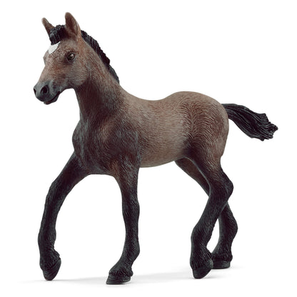 Schleich 13954 Poulain Paso Péruvien (Horse Club