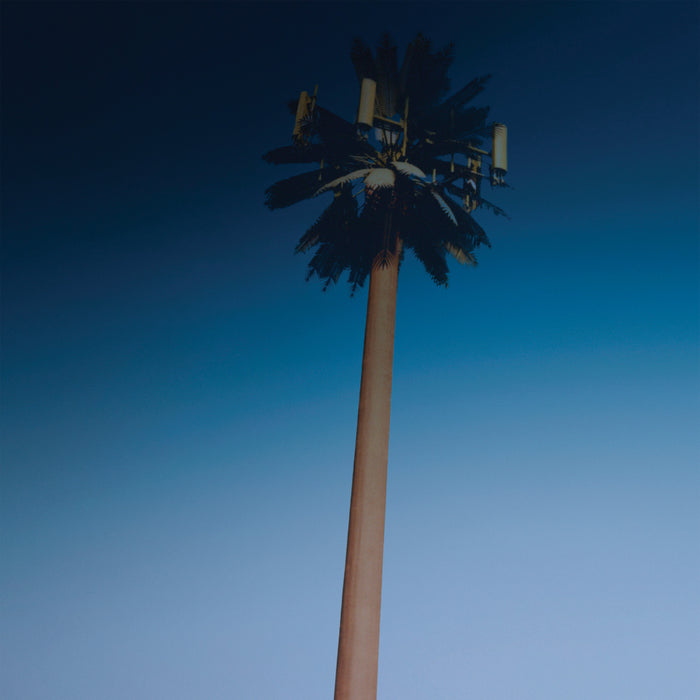 Endless Summer Vacation