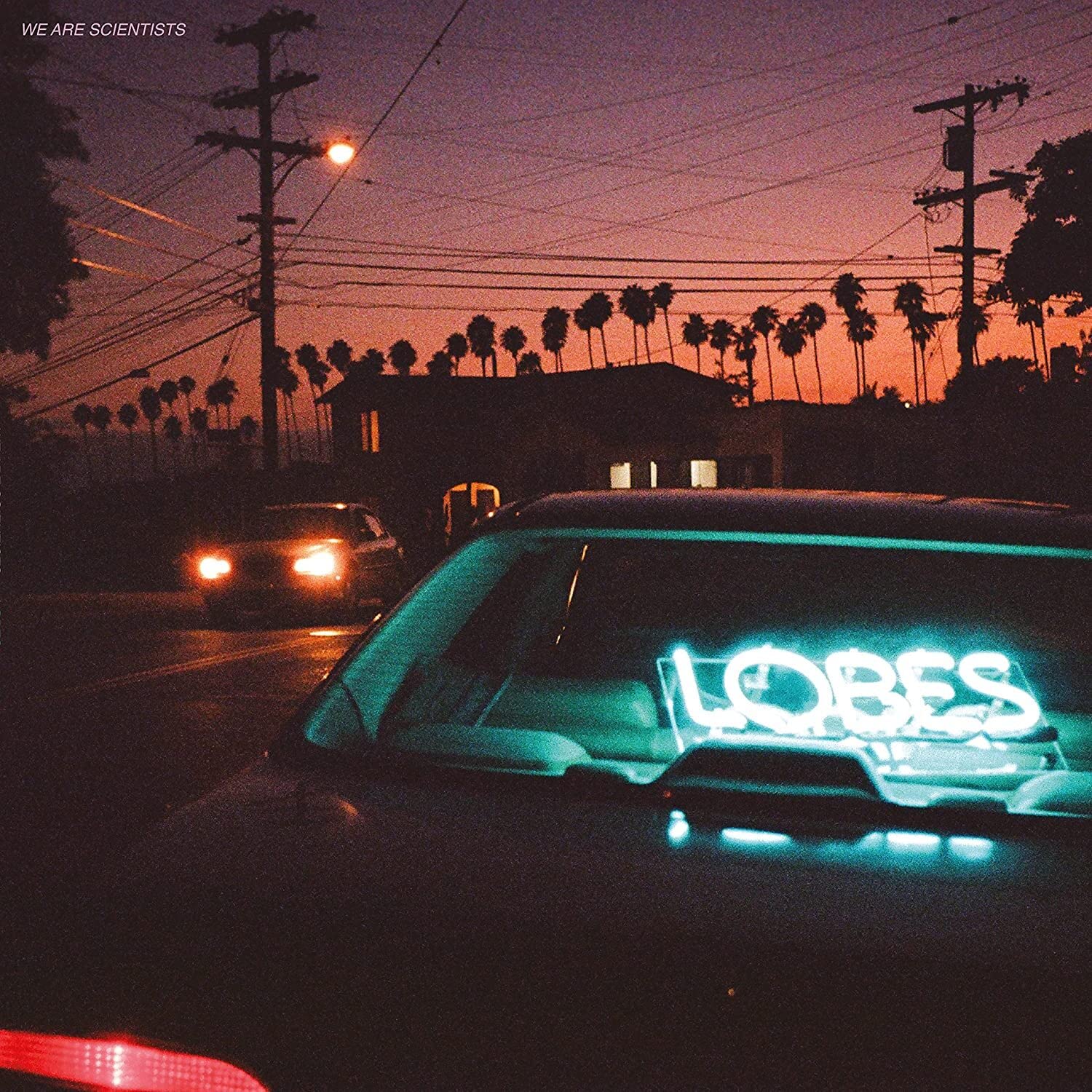 Lobes (Black Lobe