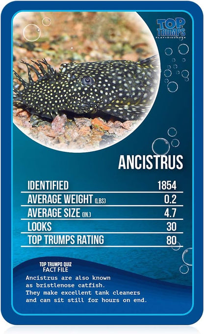 Top Trumps Juego de Cartas clásicos de Peces de Agua Dulce, aprende Datos sobre el pez ángel, Ancistrus y el tiburón Toro en Este Juego Educativo empaquetado, Regalos y Juguetes para niños y niñas a