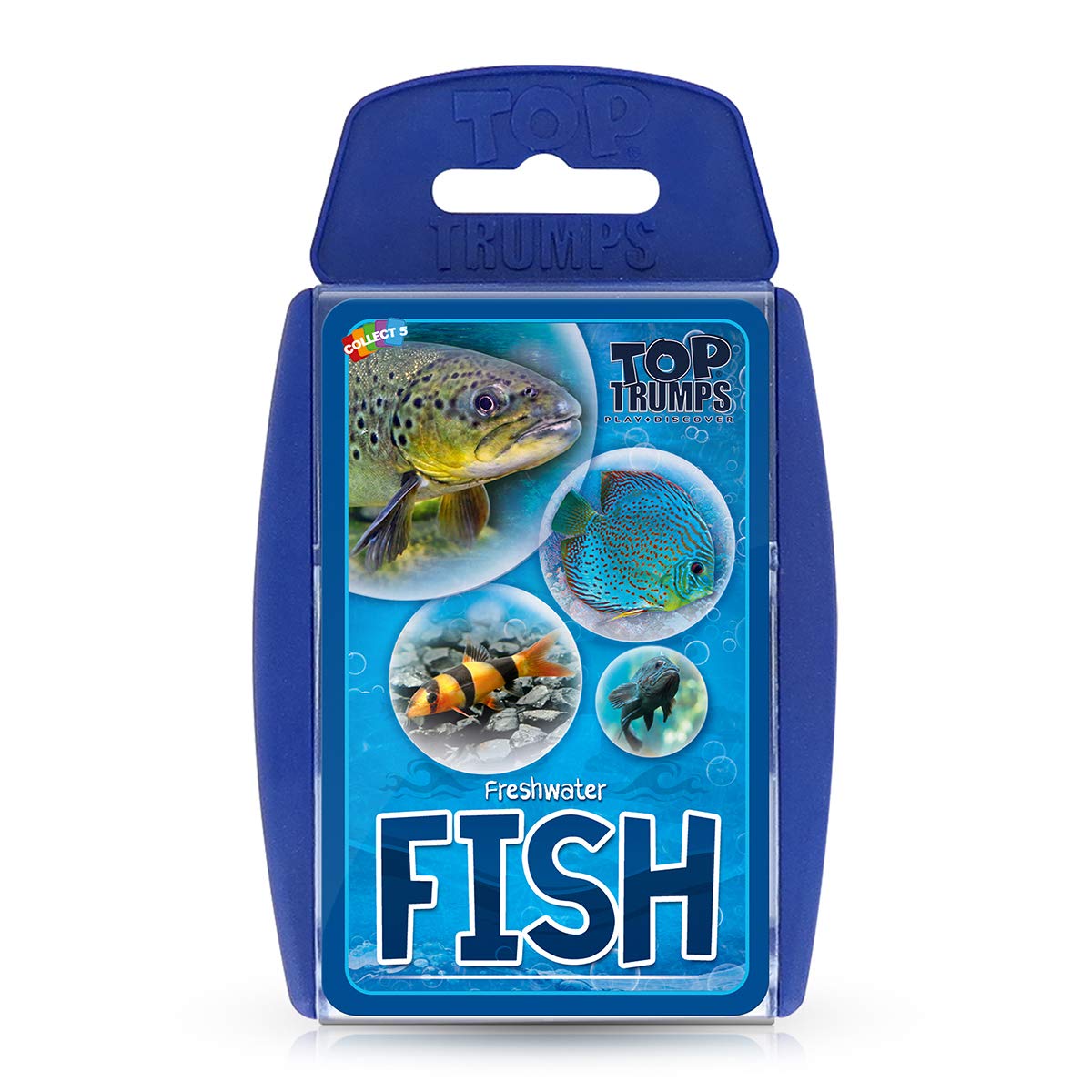 Top Trumps Juego de Cartas clásicos de Peces de Agua Dulce, aprende Datos sobre el pez ángel, Ancistrus y el tiburón Toro en Este Juego Educativo empaquetado, Regalos y Juguetes para niños y niñas a