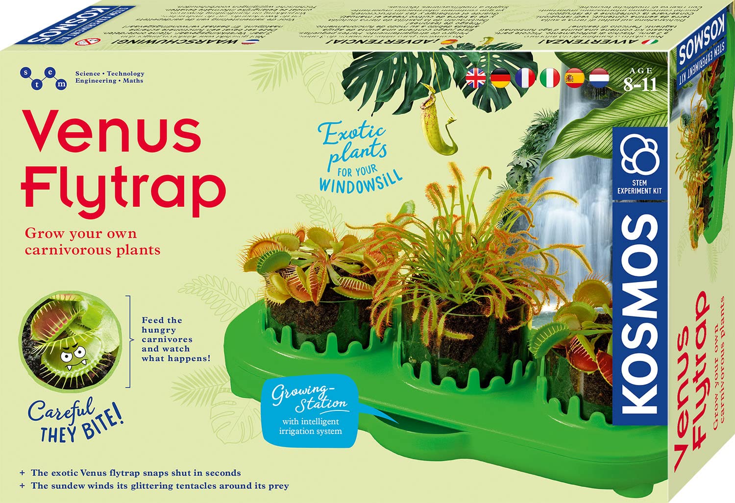 Venus Flytrap V1