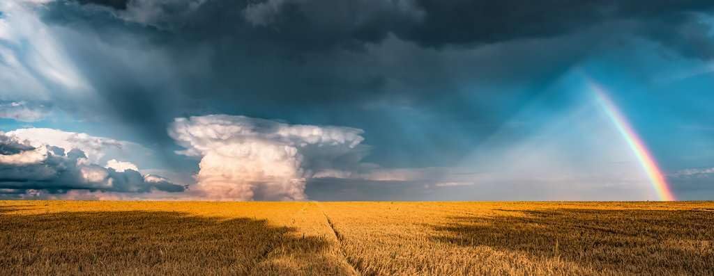 Ravensburger Puzzle Nature Edition 17493 Mystisches Regenbogenwetter - 1000 Teile Puzzle für Erwachsene und Kinder ab 14 Jahren
