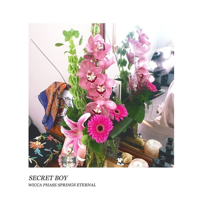 Secret Boy (Doublemint