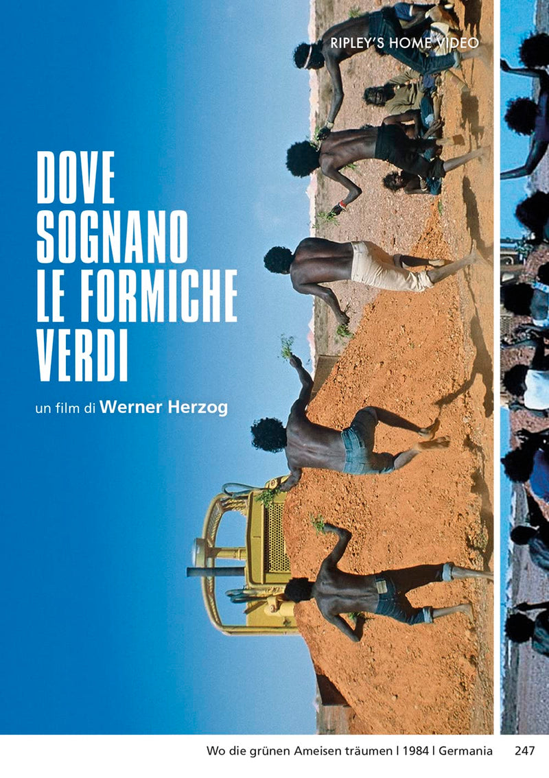 Dove Sognano Le Formiche Verdi - (Italian Import)