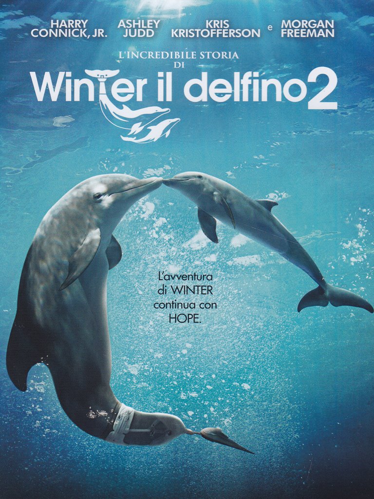 l'incredibile storia di winter il delfino 2 dvd Italian Import