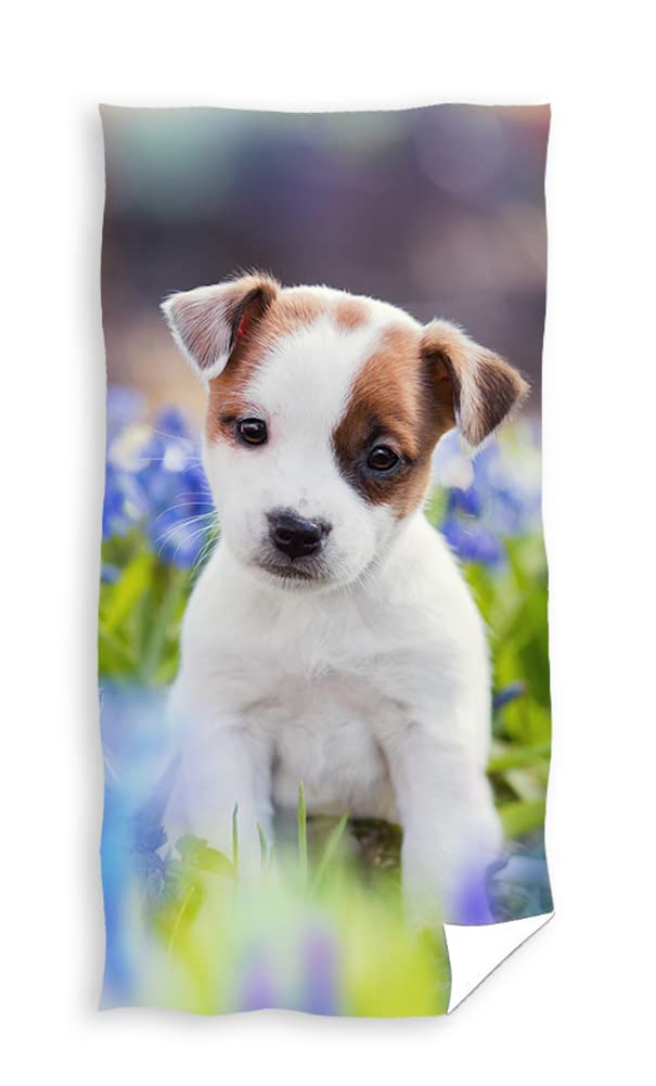 divers - Strandlaken Puppy Katoen 70x140cm