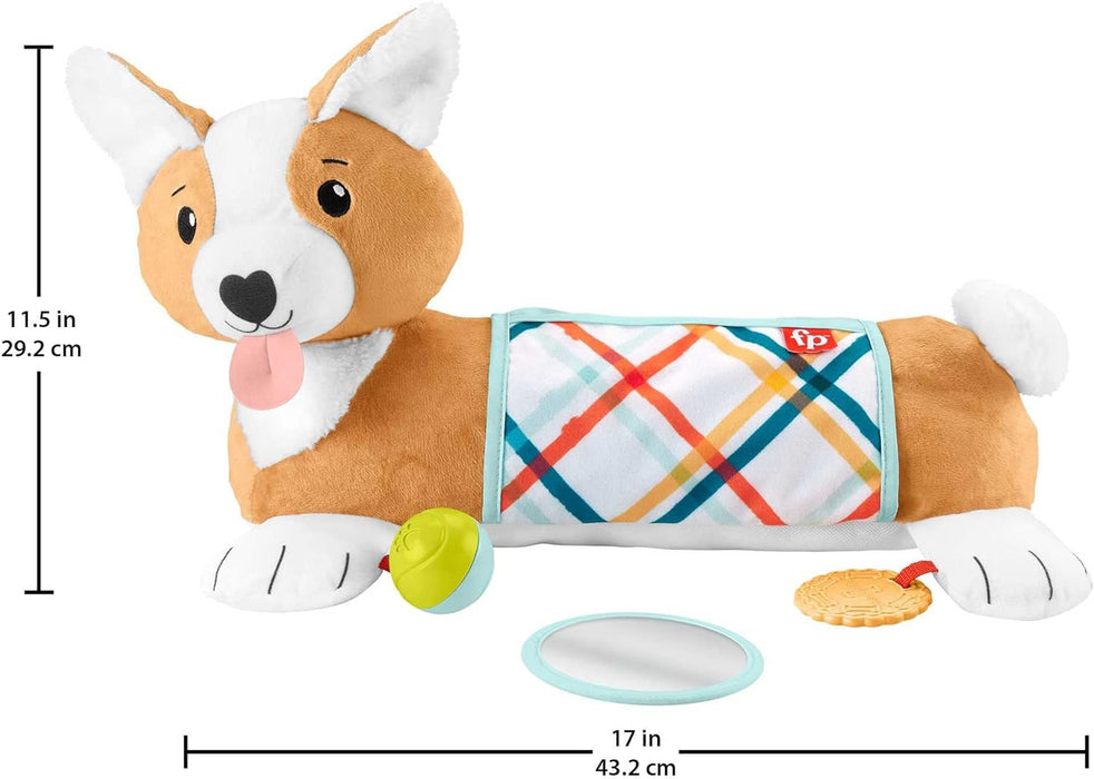 Fisher-Price Baby Tummy Time Toys, 3-in-1 Plush Puppy Wedge with BPA-Free Teether Rattle and Mirror Toys