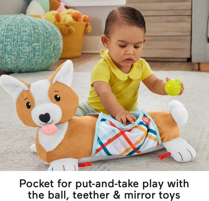 Fisher-Price Baby Tummy Time Toys, 3-in-1 Plush Puppy Wedge with BPA-Free Teether Rattle and Mirror Toys