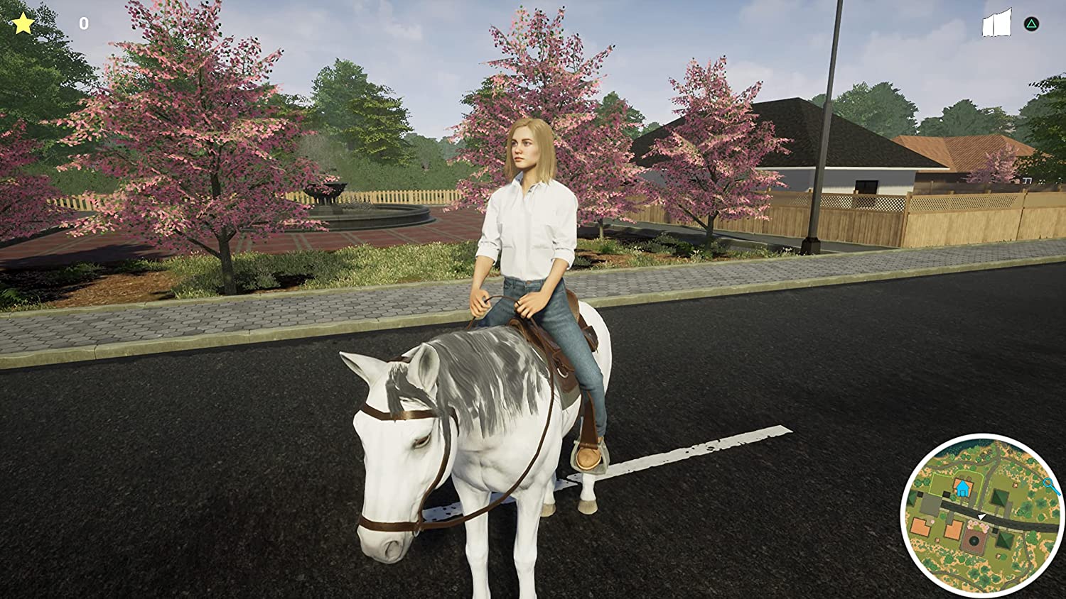 My Life: Pet Vet (PlayStation 4