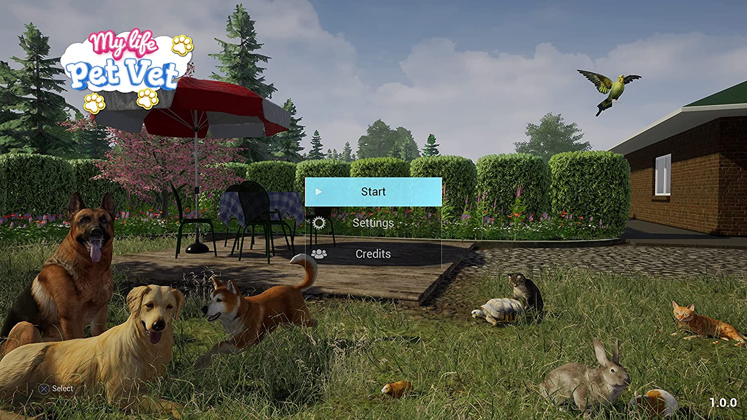 My Life: Pet Vet (Nintendo Switch