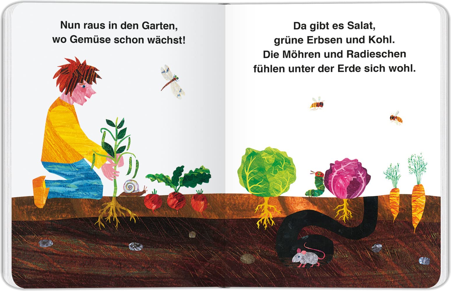 Die Kleine Raupe Nimmersatt - Fruhling - (German Import)
