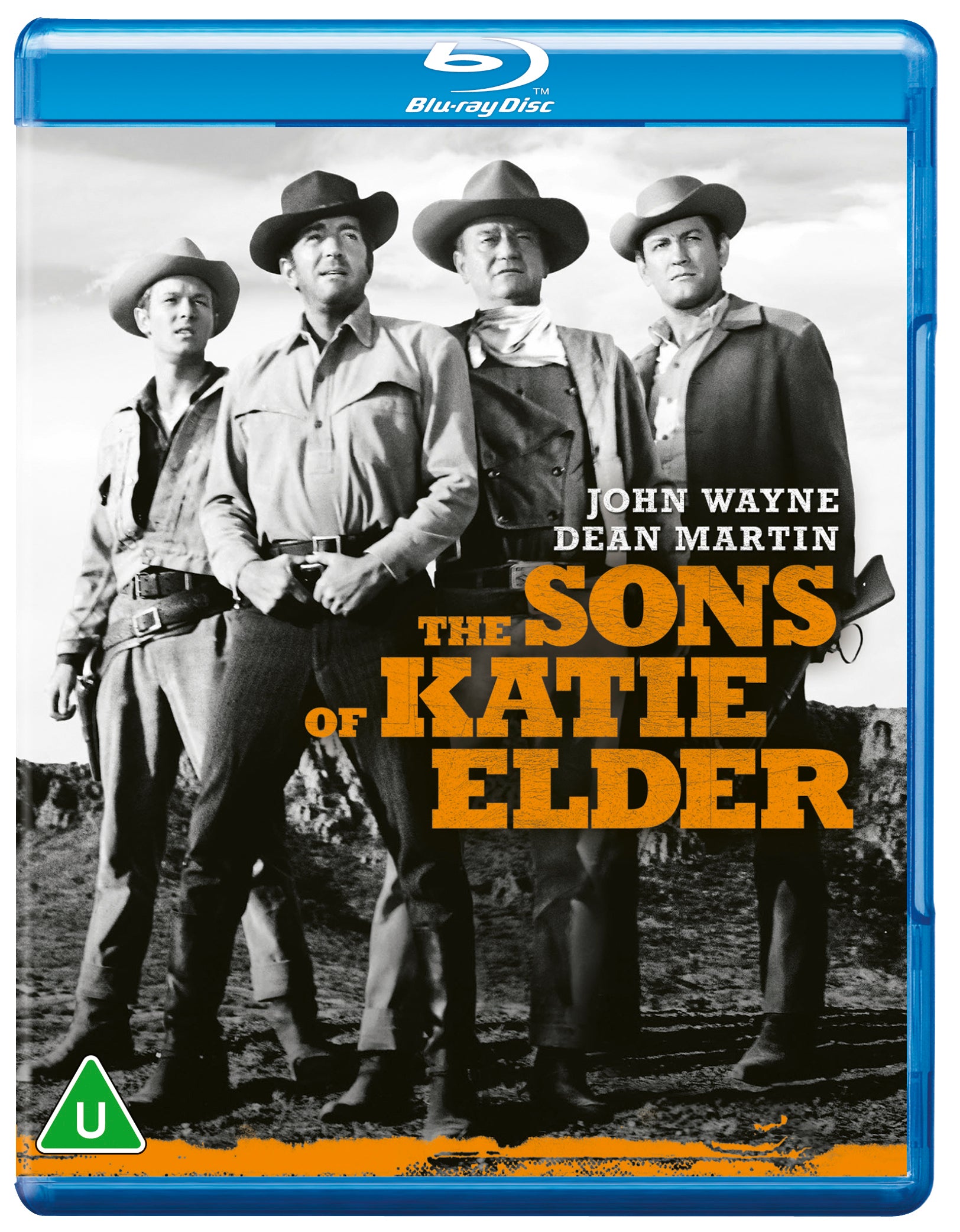 The Sons of Katie Elder