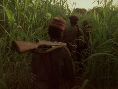 Concerning Violence