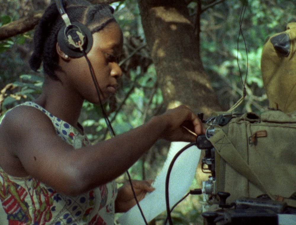 Concerning Violence