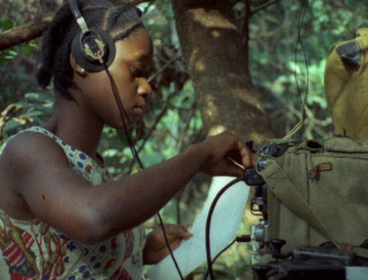 Concerning Violence