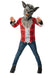 Forum Werewolf Childs Costume, Kids Fancy Dress 5-6 Years
