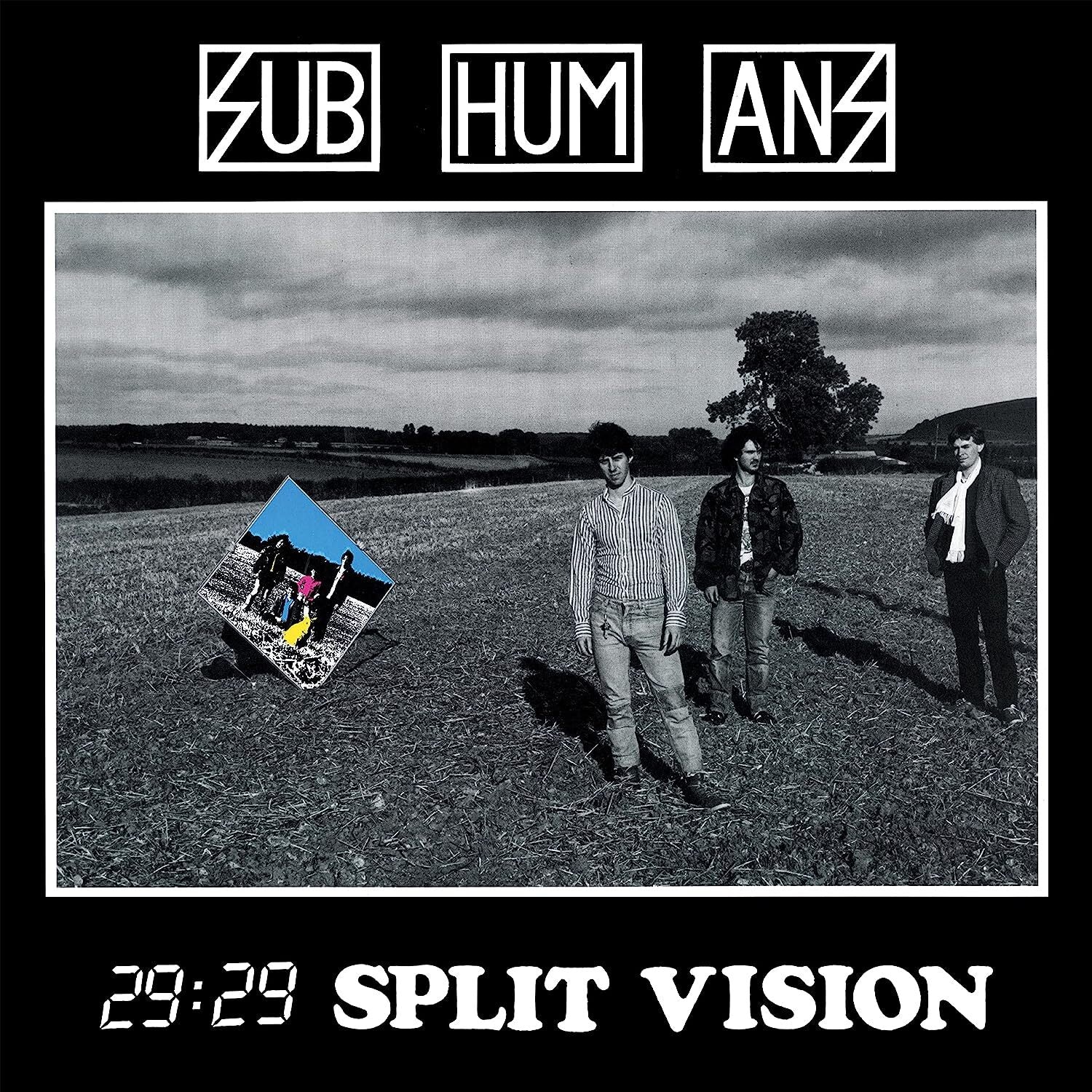 29:29 split vision