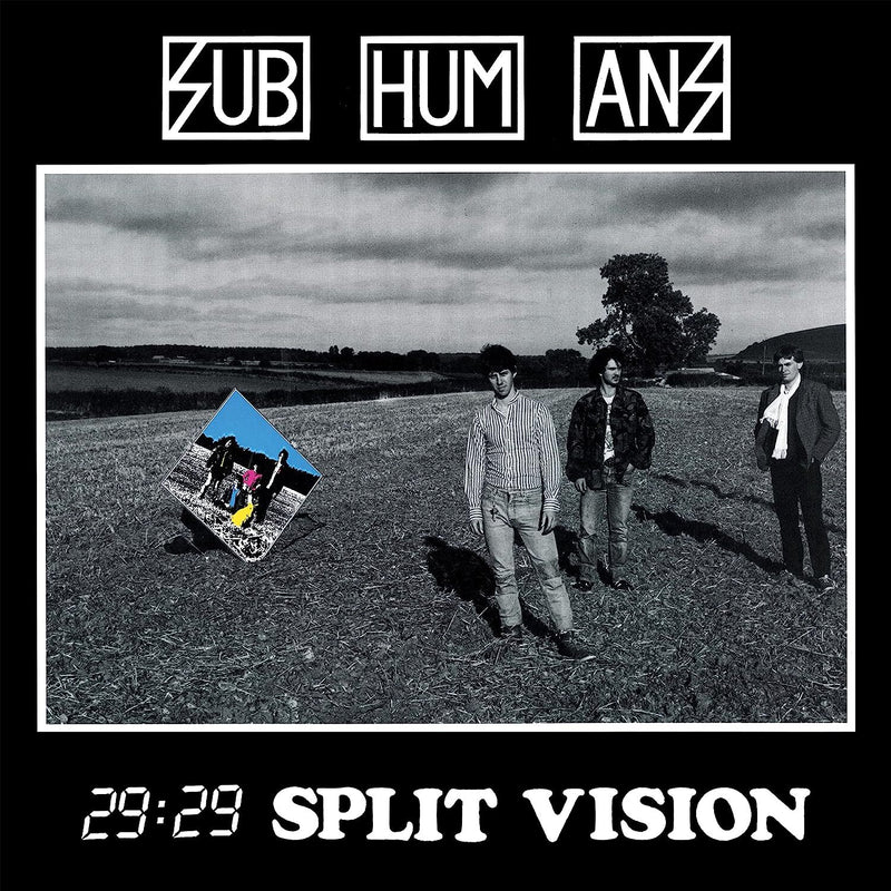 29:29 split vision