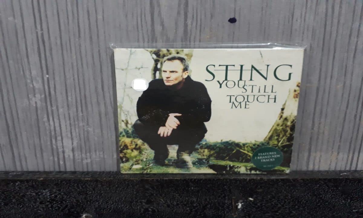 You Still Touch Me