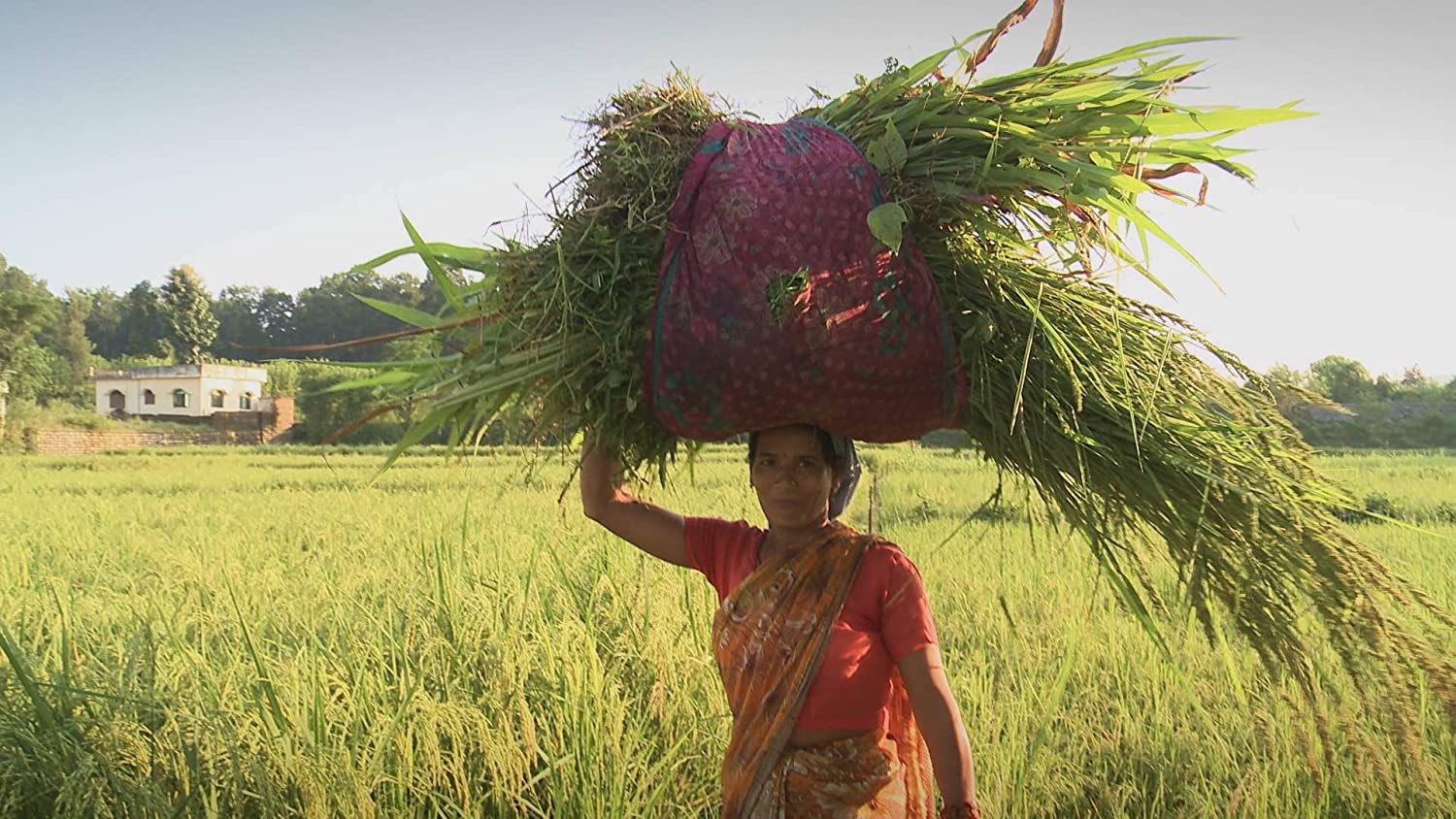Vandana Shiva - Ein Leben für die Erde