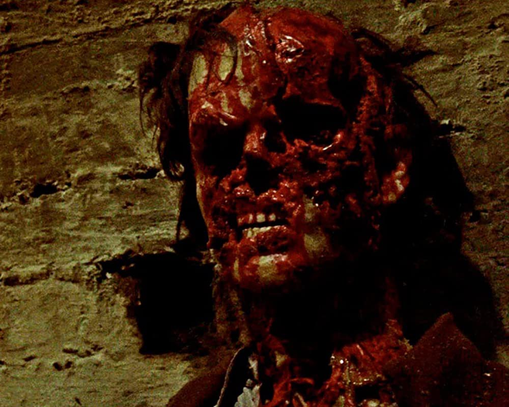 Tunnel der lebenden Leichen / Gruselhorror mit Donald Pleasence und Christopher Lee (Pidax Film-Klassiker