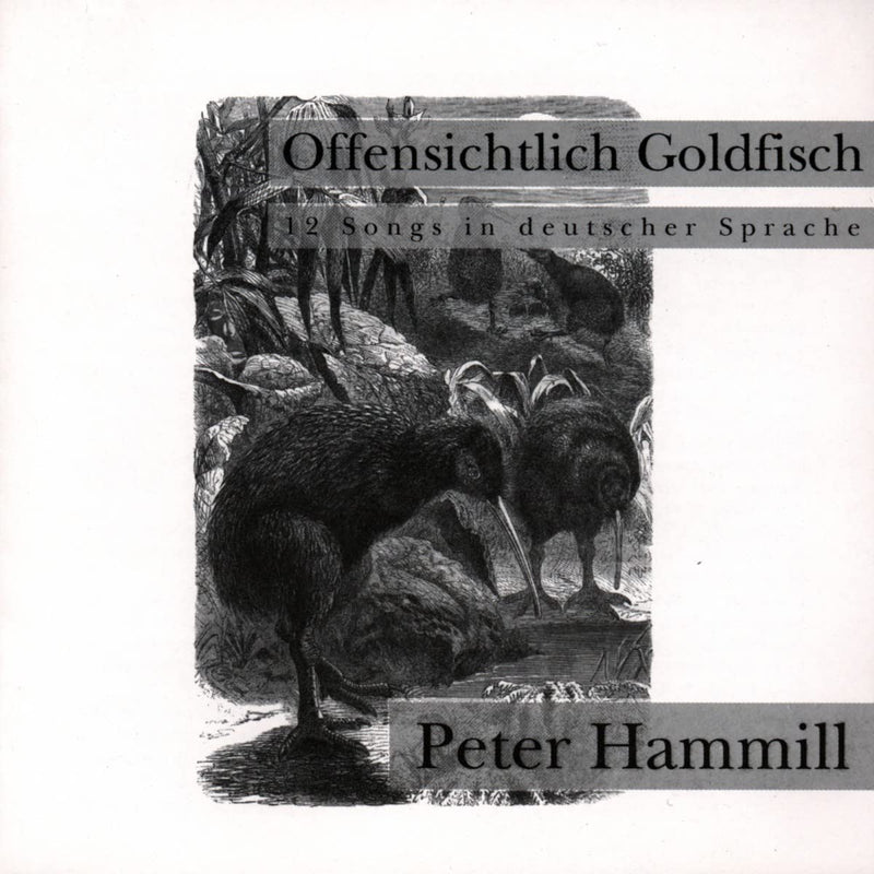 Offensichtlich Goldfisch