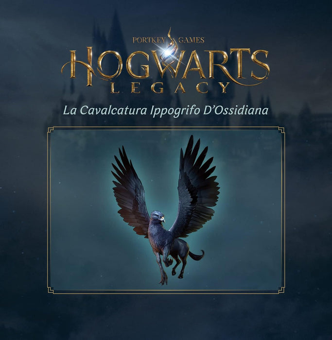 Videogioco Warner Hogwarts Legacy