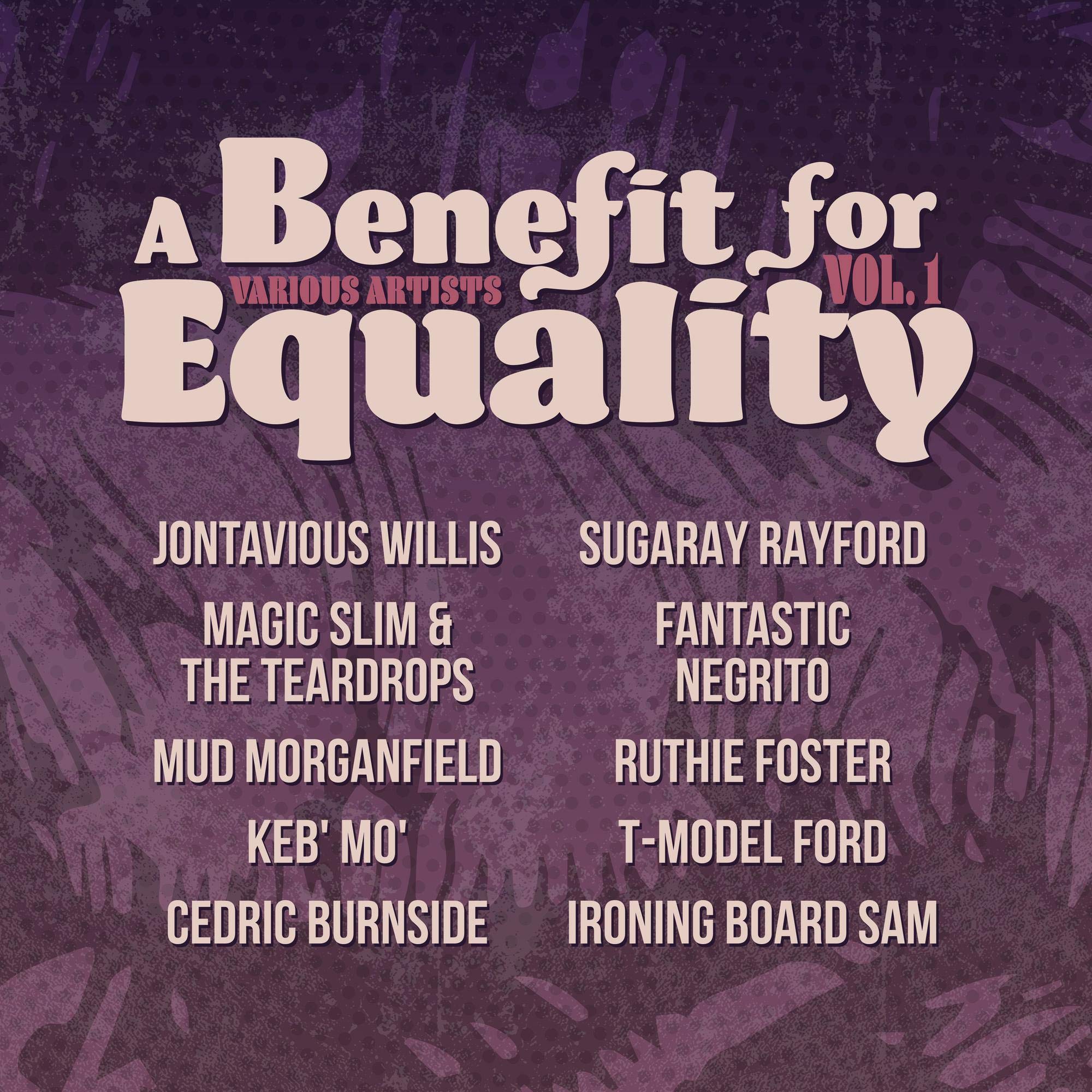 A Benefit For Equality Vol. 1 (Indie-Retail Exclusive